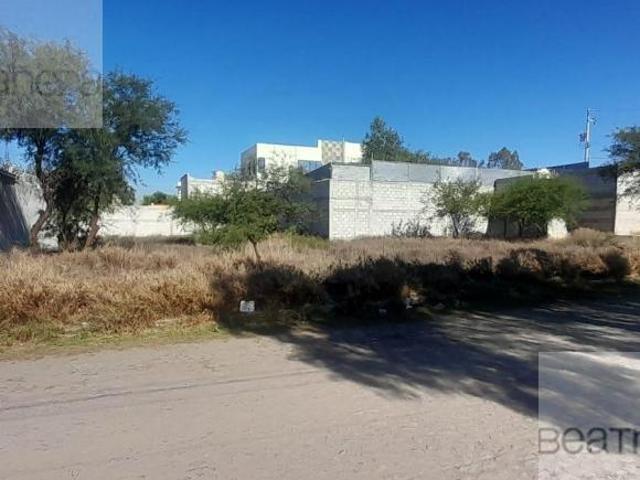 TRES LOTES EN VENTA MARIANO ESCOBEDO, COL LOS FRAILES, ACTOPAN, HGO