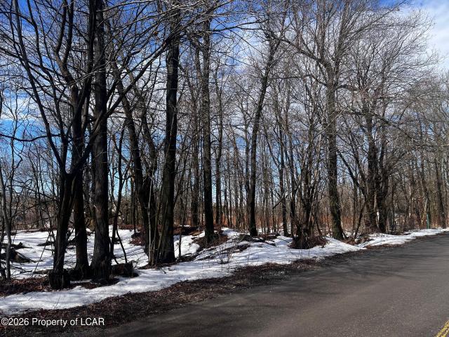 Tresckow Road