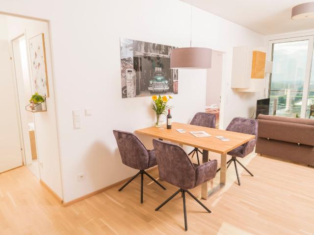 Triiiple Tower Dream Apartment 1703, Vienna Amsterdam Apartments for Rent