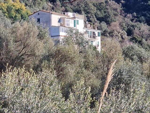 Trilocale con giardino, Framura località laviosa