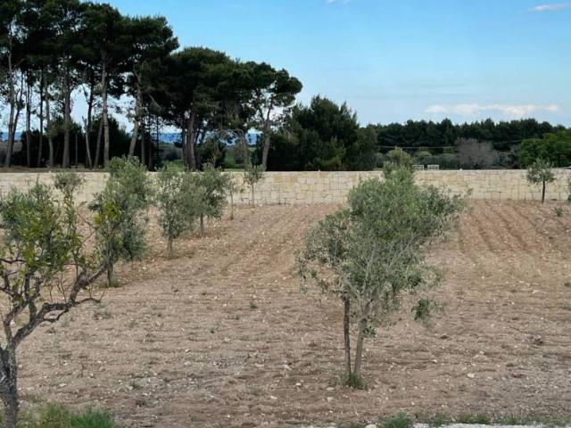 Trilocale Contrada Fontanelle 18, Otranto