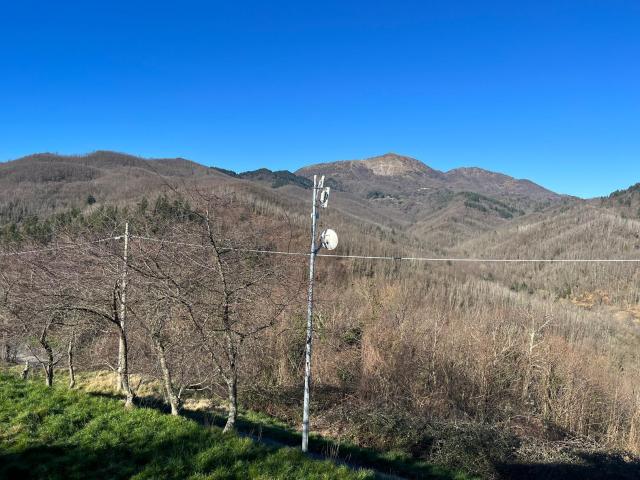 Trilocale da ristrutturare, Maissana torza
