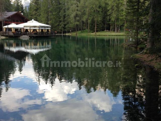 Trilocale frazione Ronco, Centro, Cortina d'Ampezzo