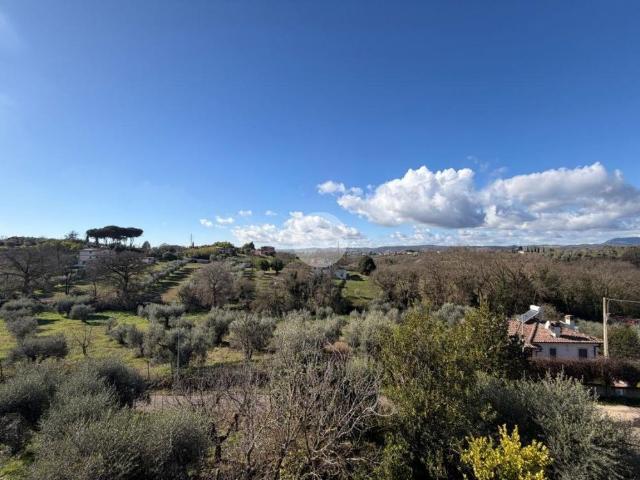 Trilocale in affitto