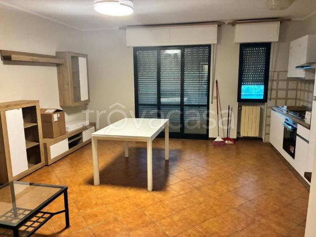 Trilocale in affitto a Massa via Pisa, Marina di Massa Centro
