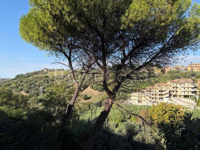 Trilocale in affitto a Mentana via 3 Novembre
