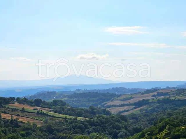 Trilocale in affitto a Calvi dell'Umbria
