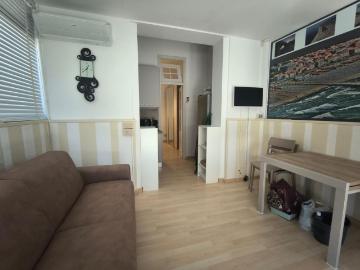 Trilocale in affitto a Camaiore, case in affitto Camaiore