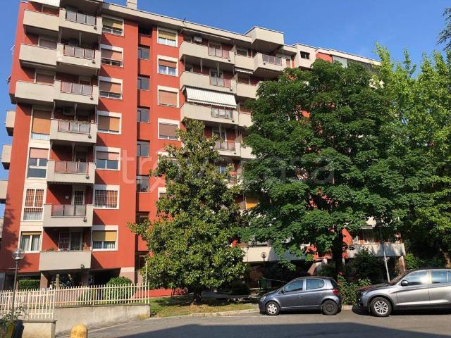 Trilocale in affitto a Cernusco sul Naviglio via Don Luigi Sturzo, 6