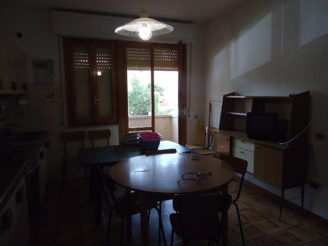 Trilocale in affitto a Rosignano Marittimo, case in affitto Rosignano Marittimo