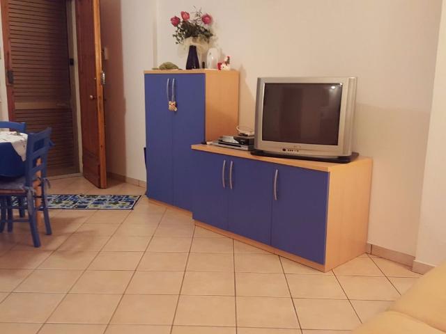 Trilocale in affitto a Rosignano Marittimo, case in affitto Rosignano Marittimo