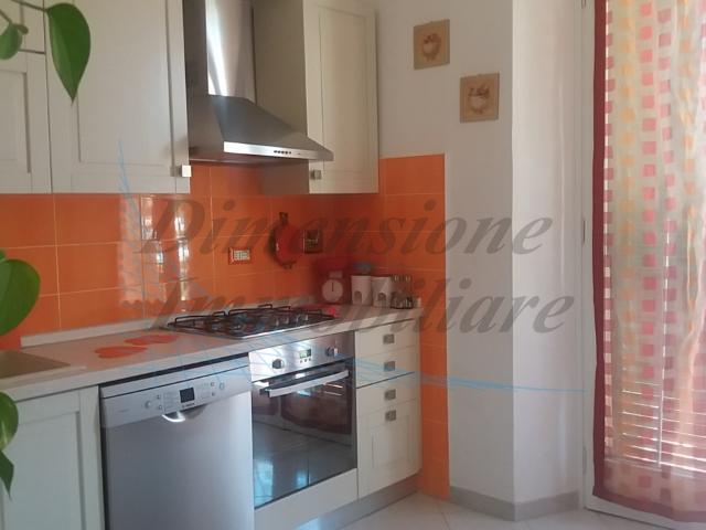 Trilocale in affitto a Rosignano Marittimo, case in affitto Rosignano Marittimo