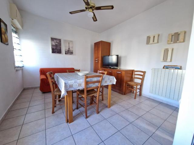 Trilocale in affitto a Rosignano Marittimo, case in affitto Rosignano Marittimo