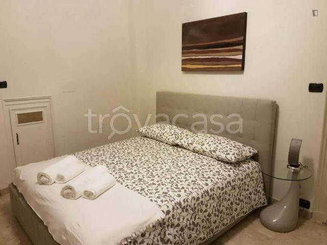 Trilocale in affitto a Torino via Pietro Giuria, San Salvario Dante