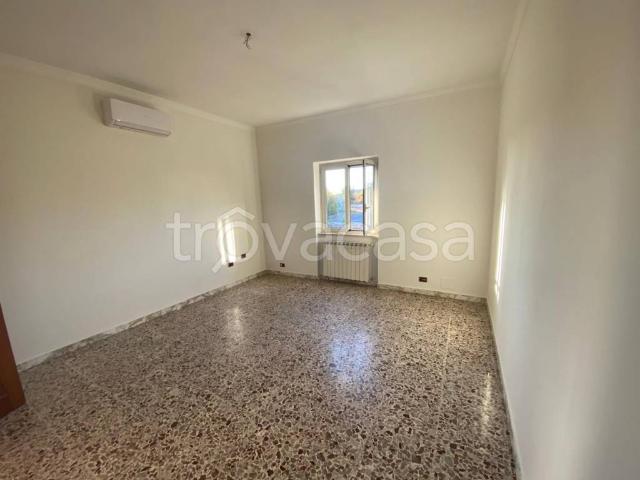 Trilocale in affitto ad Ariccia via Paluzzetti