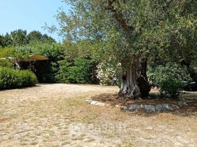 Trilocale in Affitto in Contrada Calongo a Cisternino