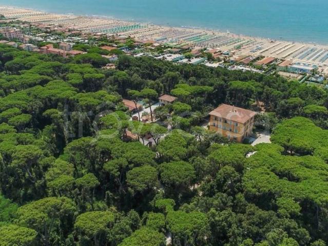 Trilocale in vendita a Marina di Pietrasanta, Pietrasanta