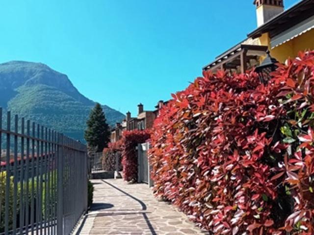 Trilocale in vendita a Ranzanico