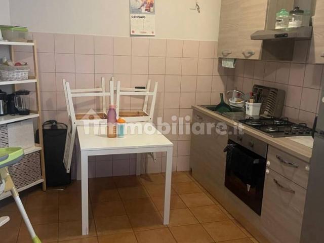 Trilocale ottimo stato, su più livelli, Fontanellato