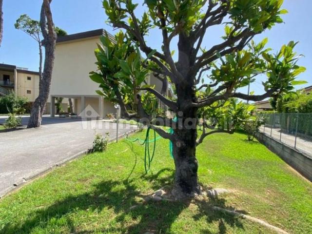 Trilocale nuovo, Forte dei Marmi