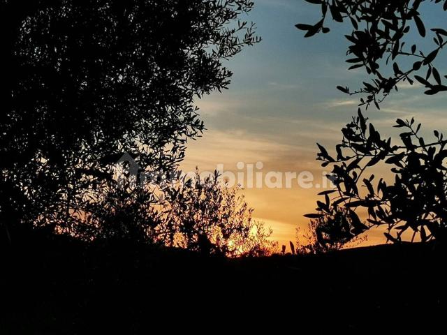 Trilocale Strada Comunale Cantinelle Pian della Pila 23, Campagnatico