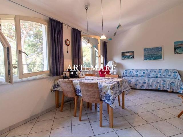 Trilocale via Magliano, 60, Marina di Massa Centro, Massa