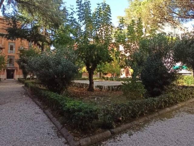 Trilocale via Benedetto Cairoli, Centro Storico, Latina