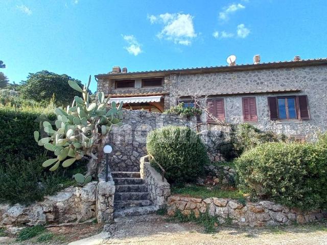Trilocale via delle Mimose, Ansedonia, Orbetello
