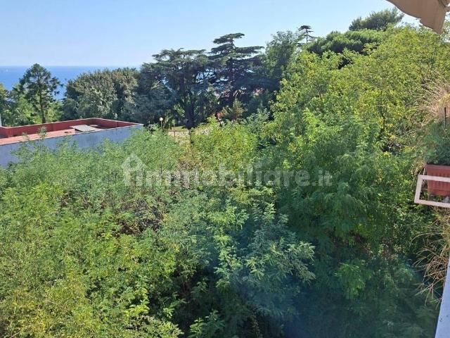 Trilocale via Francesco Petrarca 20, Posillipo, Napoli