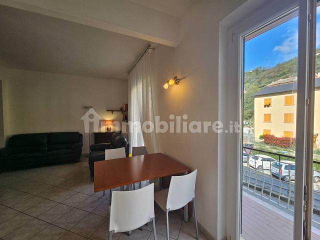 Trilocale via per Lemeglio, Centro, Moneglia