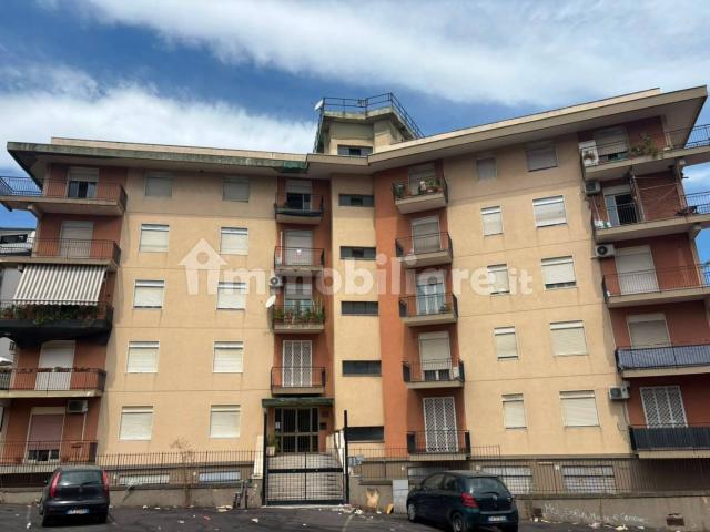 Trilocale via Renato Fucini 8, Picanello, Catania