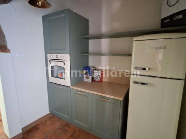 Trilocale via Roma, Centro, Terricciola