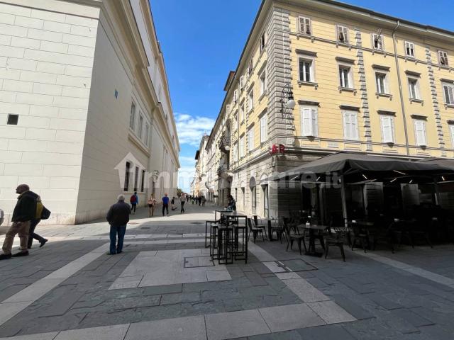 Trilocale via San Lazzaro 17, Borgo Teresiano, Trieste