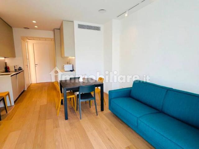 Trilocale viale Fabio Filzi 7A, Centro, Riccione