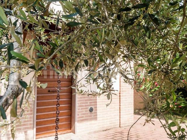 Trilocale viale Trasimeno, Magione