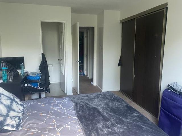 Trinity Lacasse Has an Apartment