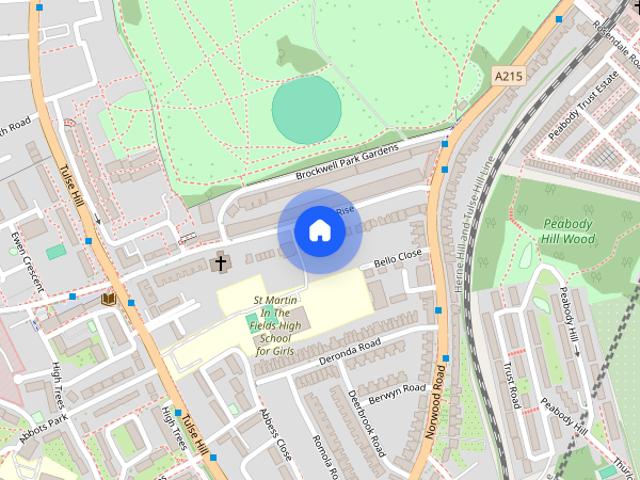 Trinity Rise, London, SW2