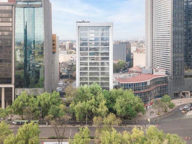 TRIPLE AAA REFORMA! HASTA 20,000 METROS
