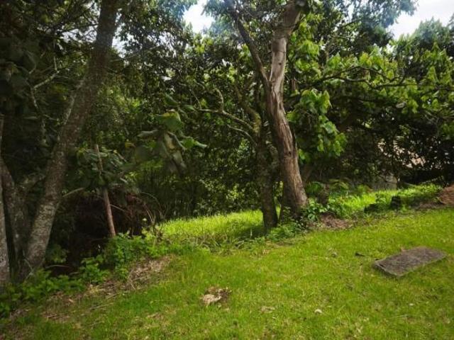 TRRENO PARA VENDA COND REFÚGIO DOS PINHEIROS ITAPEVI