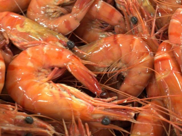 Tru Blu Prawn Farm