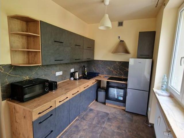 Mieszkanie do wynajęcia, M. Katowice Katowice Koszutka Grażyńskiego, 3950 PLN, 60 m2, domy 21/W/M/2026