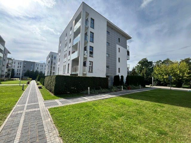 Mieszkanie do wynajęcia, Poznań Grunwald Heweliusza, 2500 PLN, 51,08 m2, domy PJW MW 268
