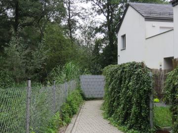 Trzypokojowe mieszkanie do wynajęcia
