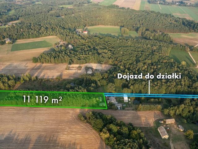 Działka z domem do remontu i dużym potencjałem w Trzciance