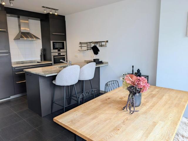 Two bed furnished duplex with south facing terrace in Zuid