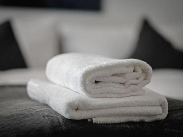 Two Bedroom Apartment City Center, Vienna Amsterdam Apartments for Rent