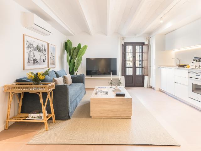 Two bedroom apartment in Oasis Rambla