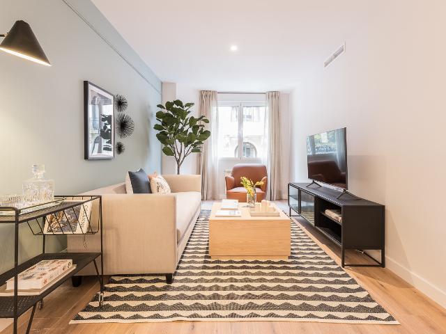 Two bedroom apartment in the Goya neighborhood