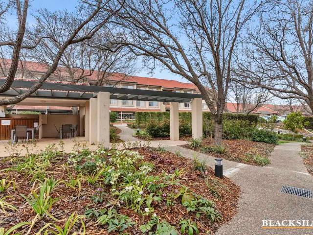 Two Bedroom Living in the Inner South