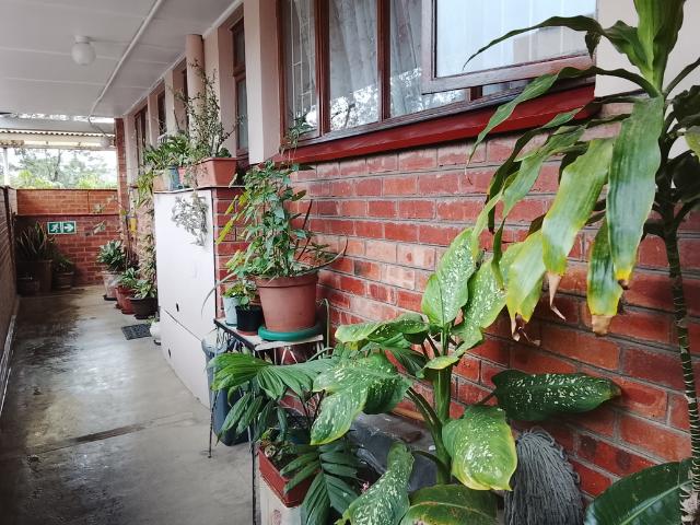 Two bedrooms available for rent in Ashley